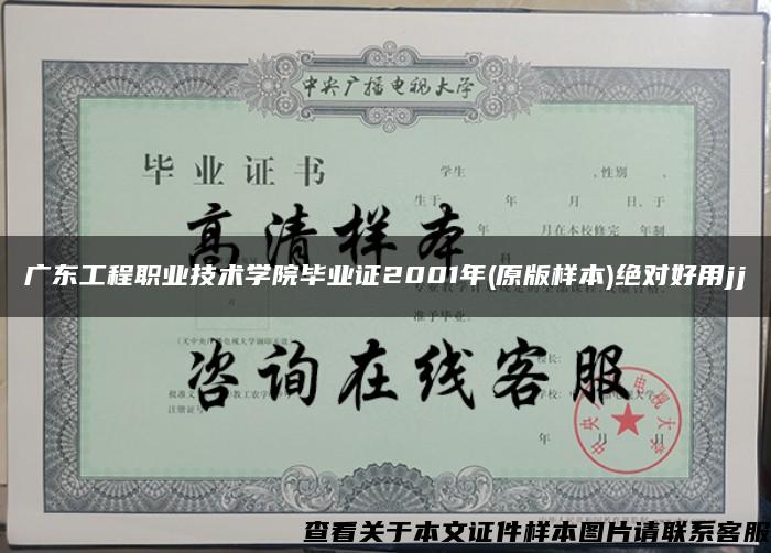 广东工程职业技术学院毕业证2001年(原版样本)绝对好用jj