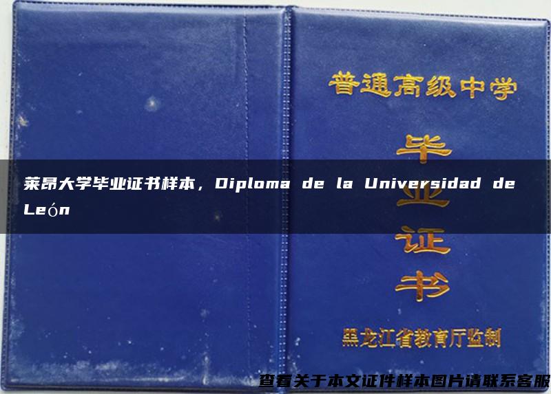 莱昂大学毕业证书样本，Diploma de la Universidad de León