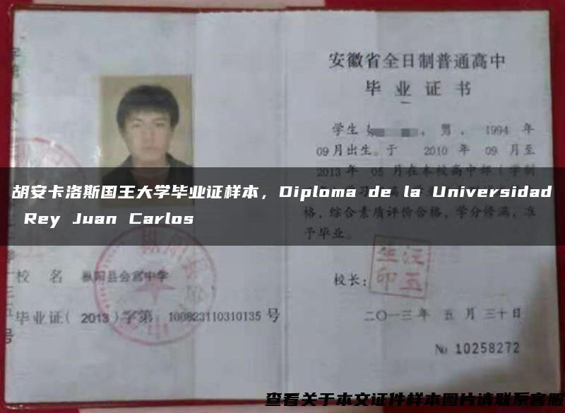 胡安卡洛斯国王大学毕业证样本，Diploma de la Universidad Rey Juan Carlos