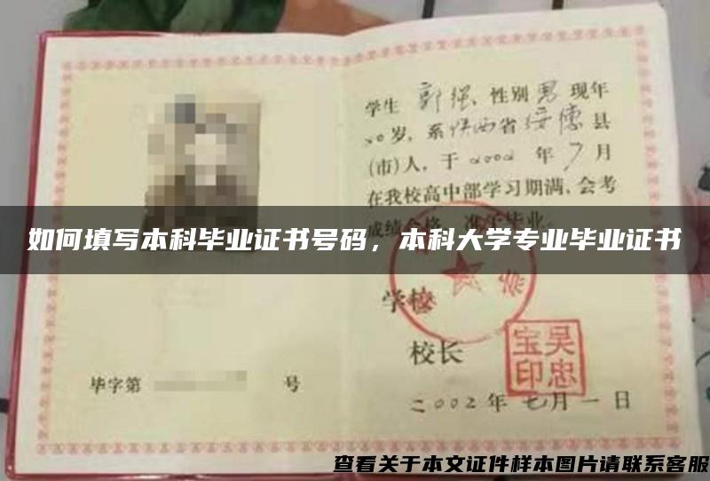 如何填写本科毕业证书号码，本科大学专业毕业证书