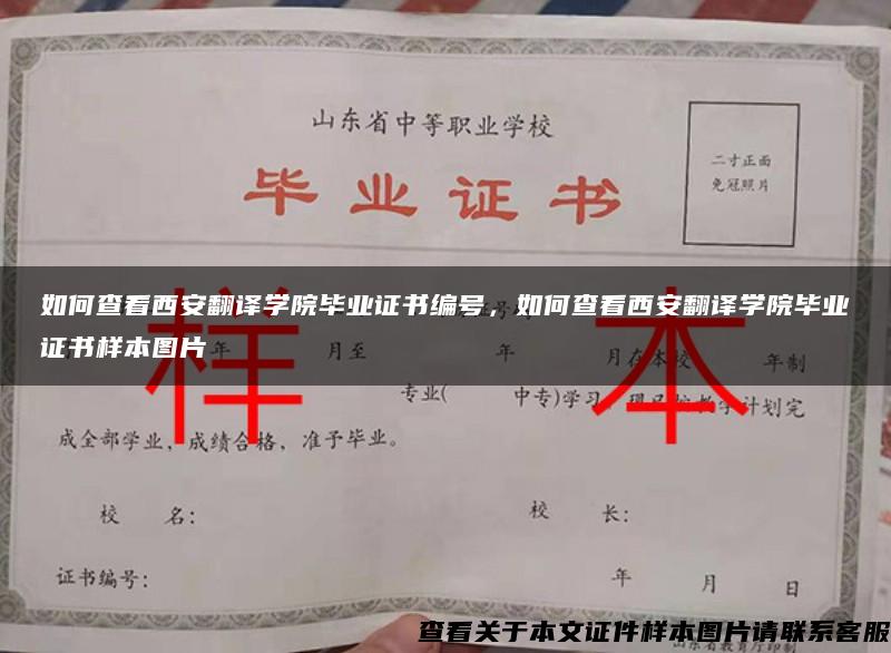 如何查看西安翻译学院毕业证书编号，如何查看西安翻译学院毕业证书样本图片