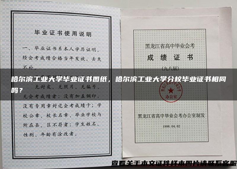 哈尔滨工业大学毕业证书图纸，哈尔滨工业大学分校毕业证书相同吗？