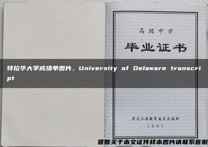 特拉华大学成绩单图片，University of Delaware transcript