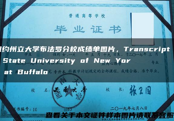 纽约州立大学布法罗分校成绩单图片，Transcript of State University of New York at Buffalo