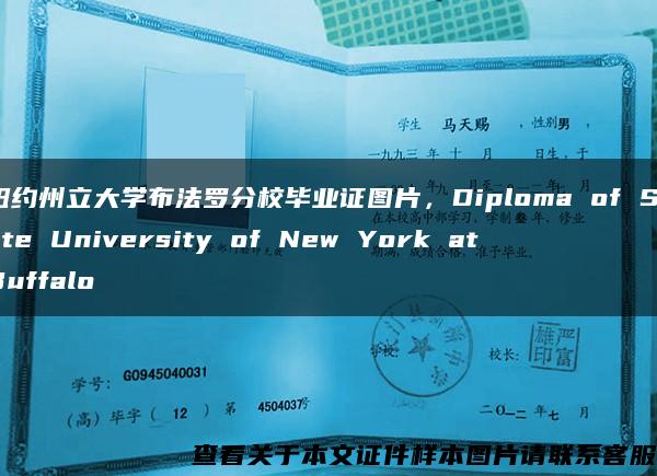 纽约州立大学布法罗分校毕业证图片，Diploma of State University of New York at Buffalo