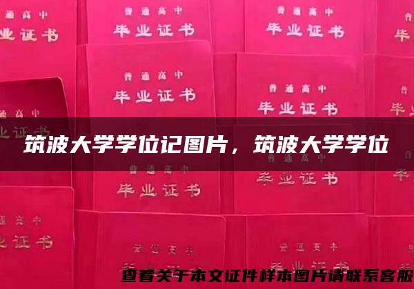 筑波大学学位记图片，筑波大学学位記