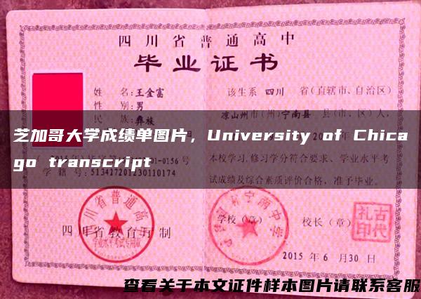 芝加哥大学成绩单图片，University of Chicago transcript