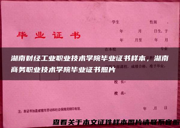 湖南财经工业职业技术学院毕业证书样本，湖南商务职业技术学院毕业证书照片