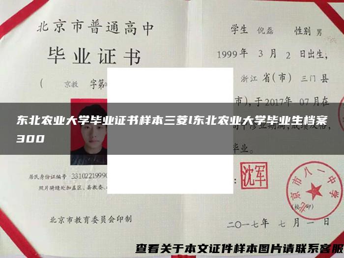 东北农业大学毕业证书样本三菱l东北农业大学毕业生档案300