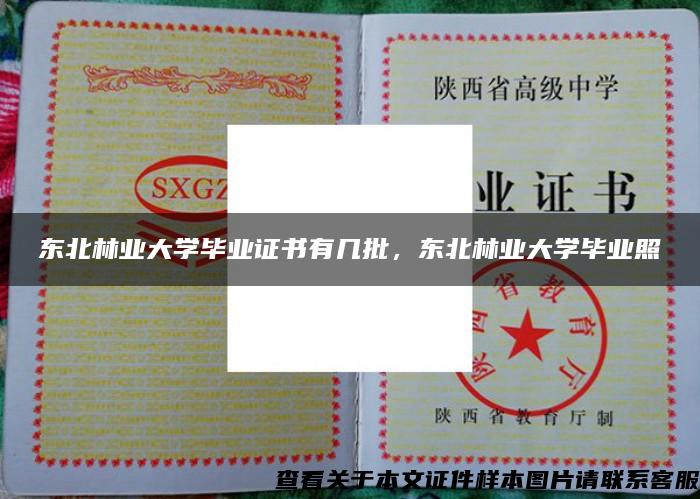 东北林业大学毕业证书有几批，东北林业大学毕业照