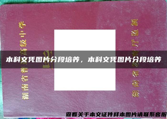 本科文凭图片分段培养，本科文凭图片分段培养