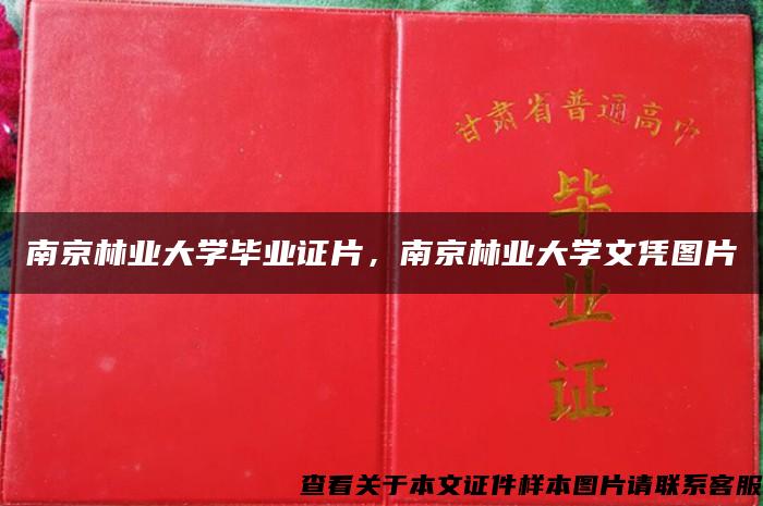 南京林业大学毕业证片，南京林业大学文凭图片