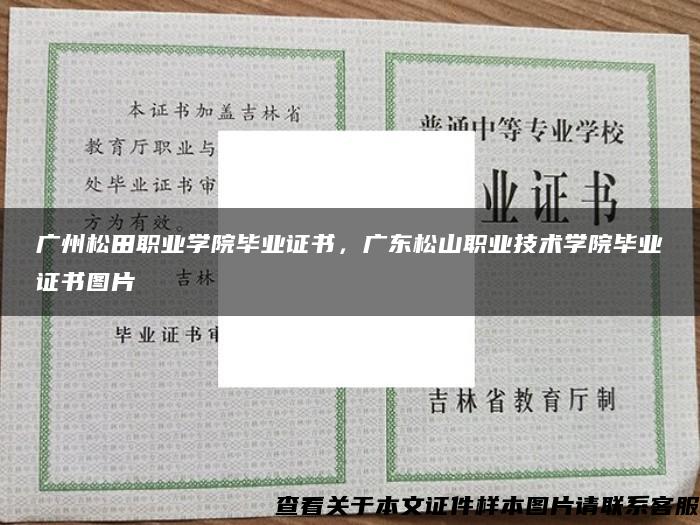 广州松田职业学院毕业证书，广东松山职业技术学院毕业证书图片