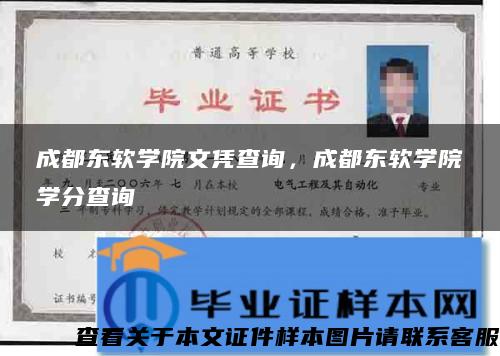 成都东软学院文凭查询，成都东软学院学分查询