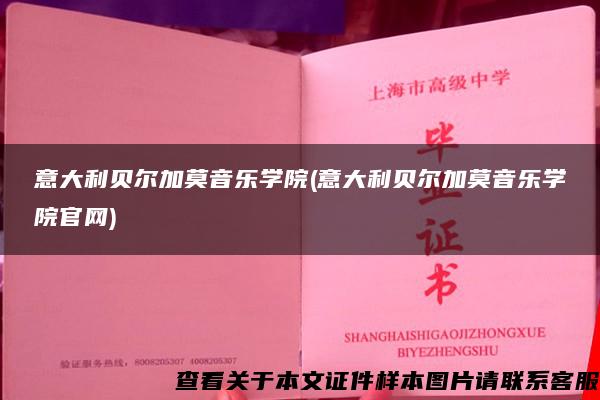 意大利贝尔加莫音乐学院(意大利贝尔加莫音乐学院官网)