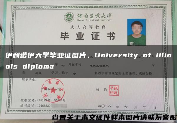 伊利诺伊大学毕业证图片，University of Illinois diploma