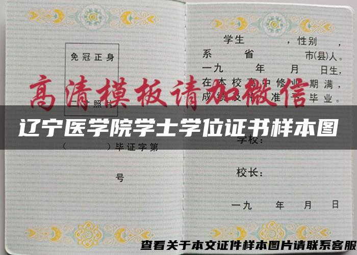 辽宁医学院学士学位证书样本图