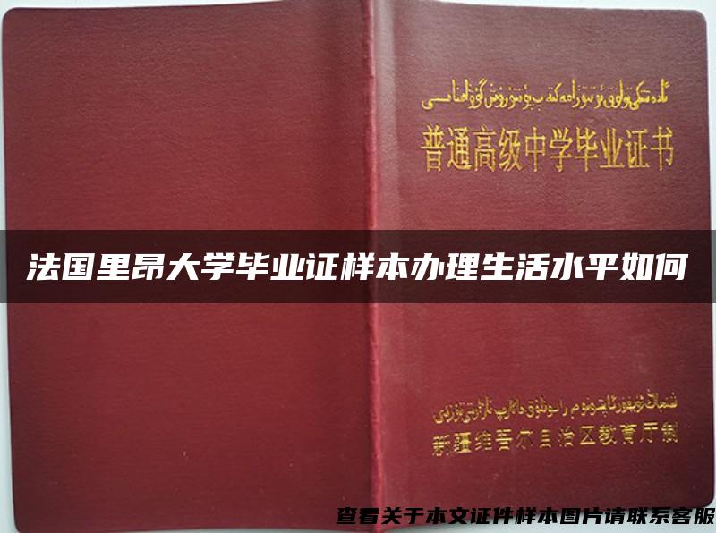 法国里昂大学毕业证样本办理生活水平如何