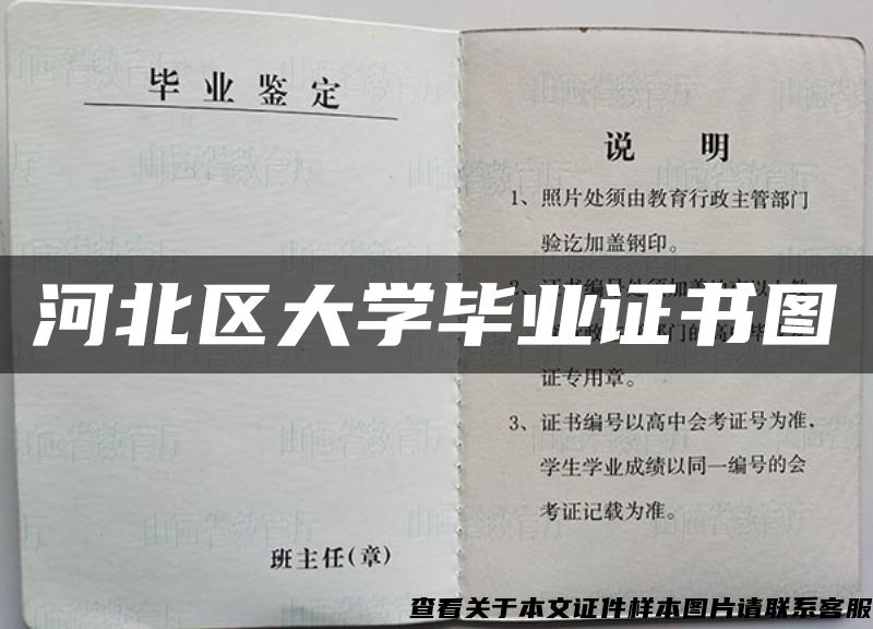 河北区大学毕业证书图