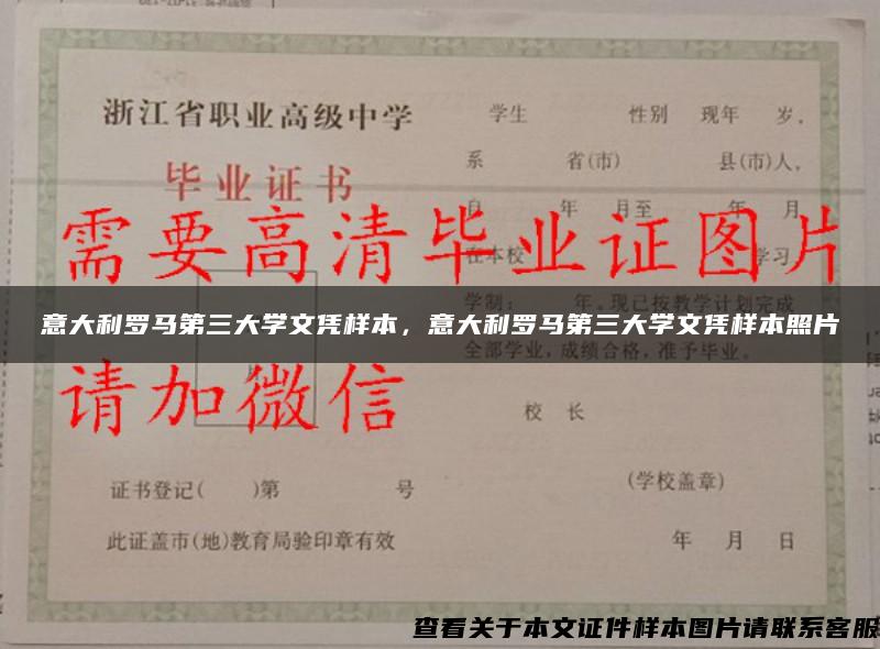 意大利罗马第三大学文凭样本，意大利罗马第三大学文凭样本照片