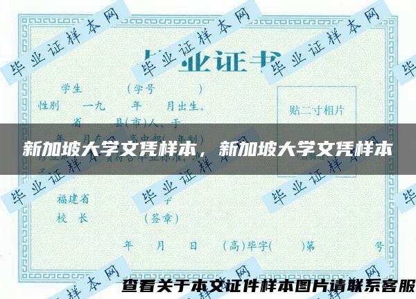 新加坡大学文凭样本，新加坡大学文凭样本