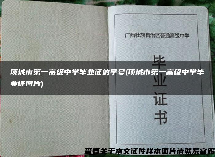 项城市第一高级中学毕业证的学号(项城市第一高级中学毕业证图片)