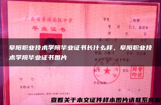 阜阳职业技术学院毕业证书长什么样，阜阳职业技术学院毕业证书图片