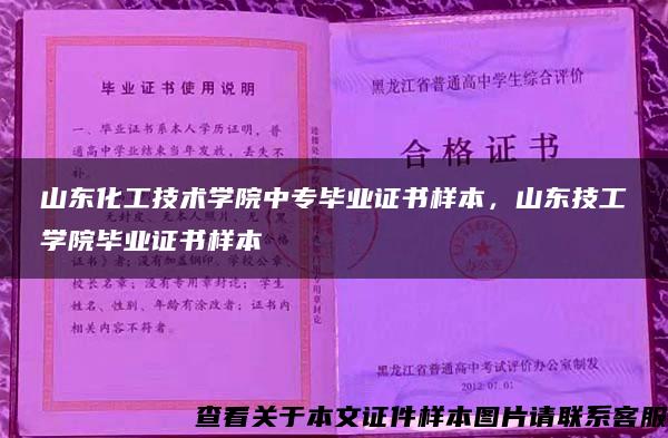 山东化工技术学院中专毕业证书样本，山东技工学院毕业证书样本