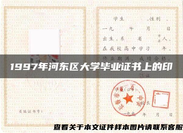 1997年河东区大学毕业证书上的印