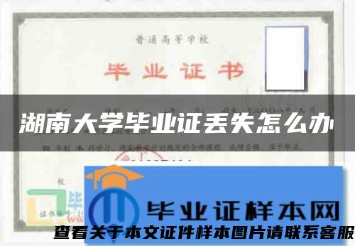 湖南大学毕业证丢失怎么办