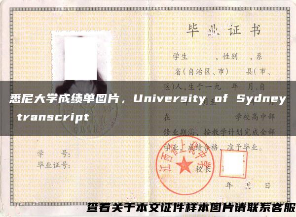 悉尼大学成绩单图片，University of Sydney transcript