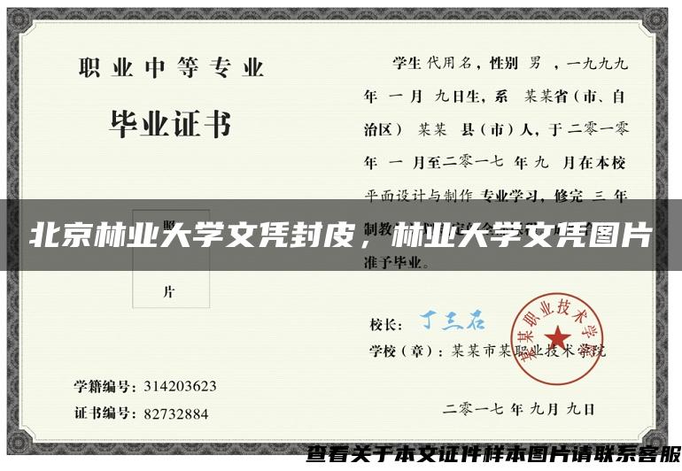 北京林业大学文凭封皮，林业大学文凭图片