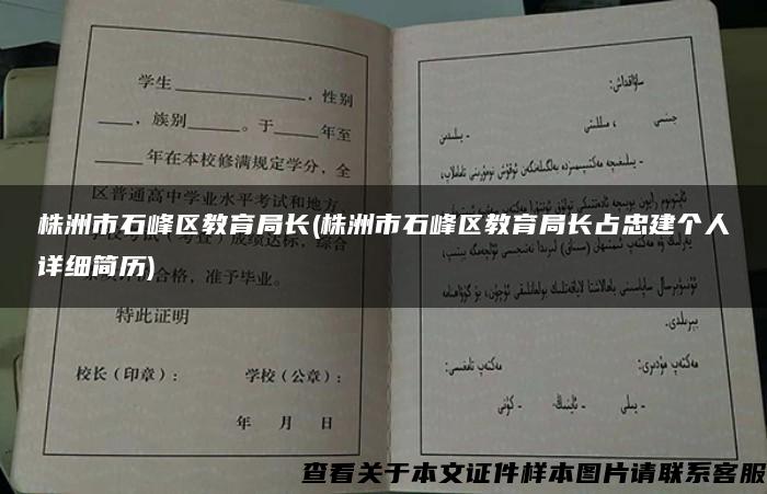 株洲市石峰区教育局长(株洲市石峰区教育局长占忠建个人详细简历)