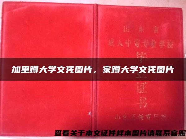 加里蹲大学文凭图片，家蹲大学文凭图片