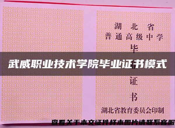 武威职业技术学院毕业证书模式