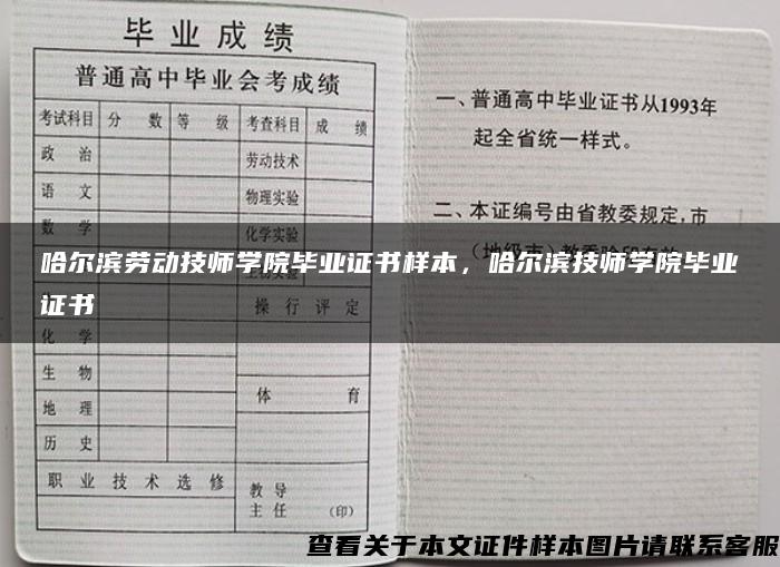 哈尔滨劳动技师学院毕业证书样本，哈尔滨技师学院毕业证书