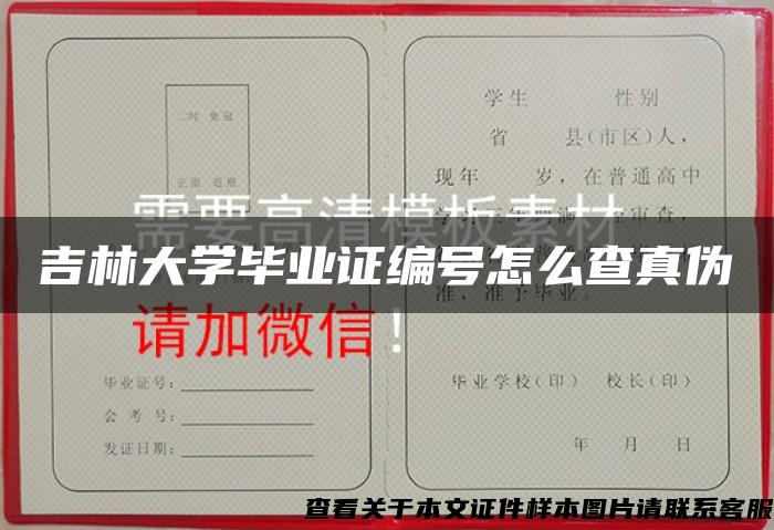 吉林大学毕业证编号怎么查真伪