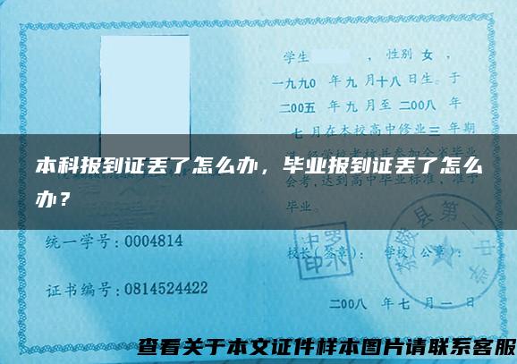 本科报到证丢了怎么办，毕业报到证丢了怎么办？