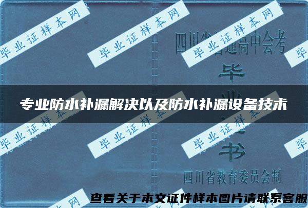 专业防水补漏解决以及防水补漏设备技术