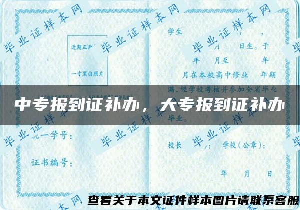 中专报到证补办，大专报到证补办