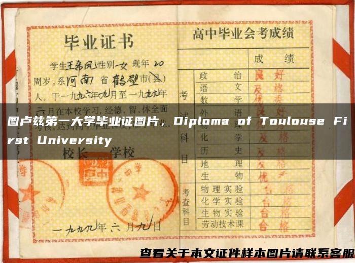 图卢兹第一大学毕业证图片，Diploma of Toulouse First University