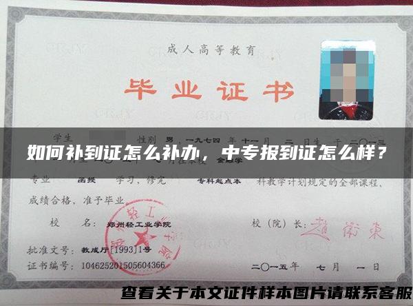 如何补到证怎么补办，中专报到证怎么样？