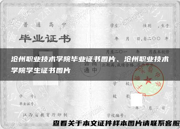 沧州职业技术学院毕业证书图片、沧州职业技术学院学生证书图片