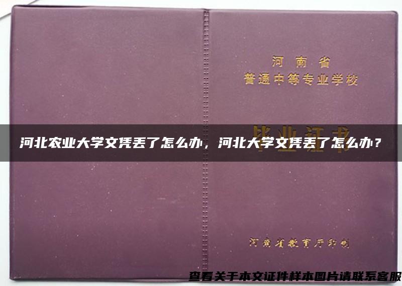 河北农业大学文凭丢了怎么办，河北大学文凭丢了怎么办？