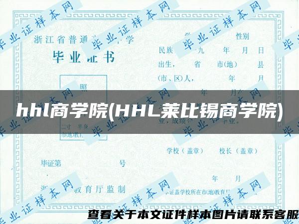 hhl商学院(HHL莱比锡商学院)