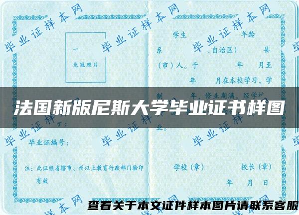 法国新版尼斯大学毕业证书样图