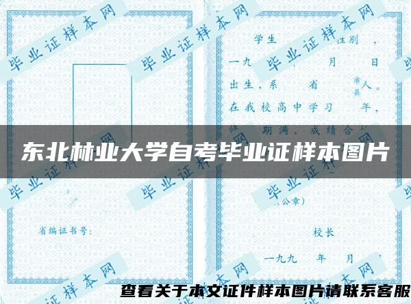 东北林业大学自考毕业证样本图片