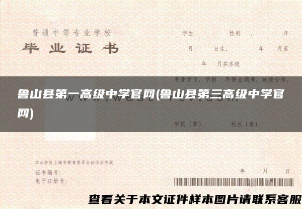 鲁山县第一高级中学官网(鲁山县第三高级中学官网)