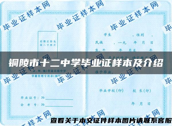 铜陵市十二中学毕业证样本及介绍