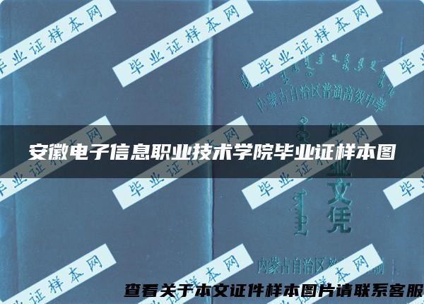 安徽电子信息职业技术学院毕业证样本图